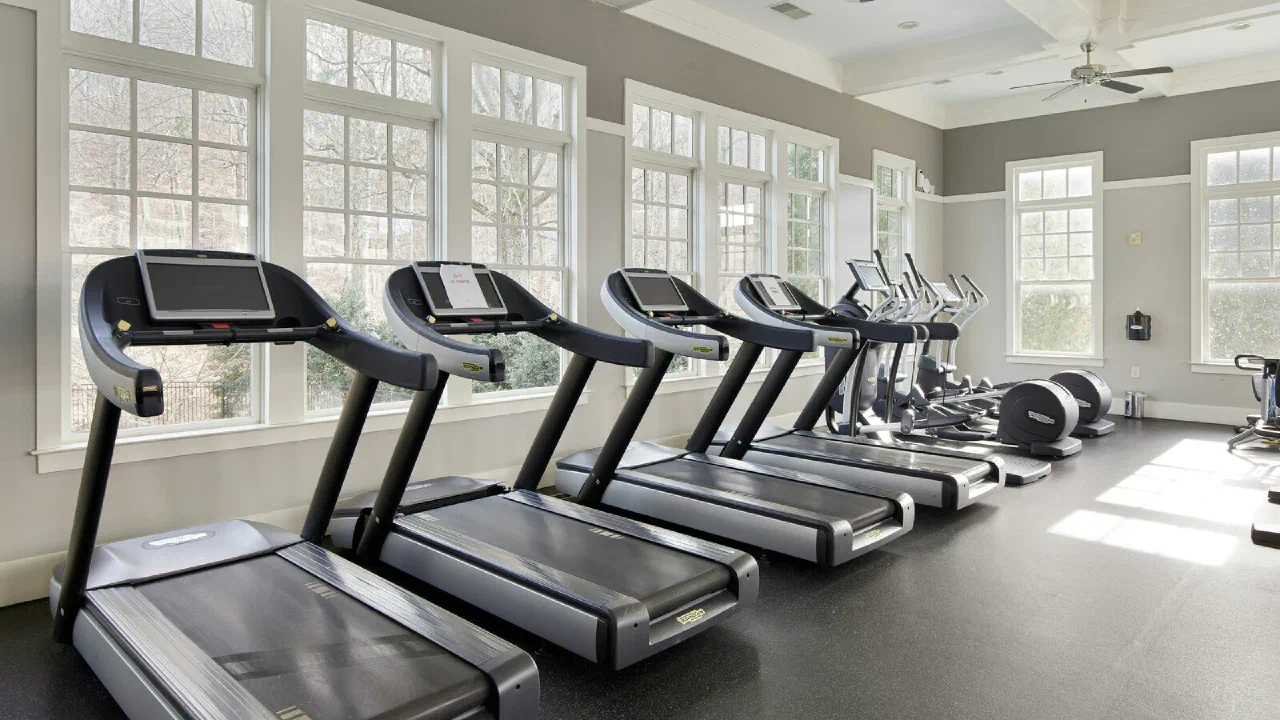 A row of empty treadmills in front of a window