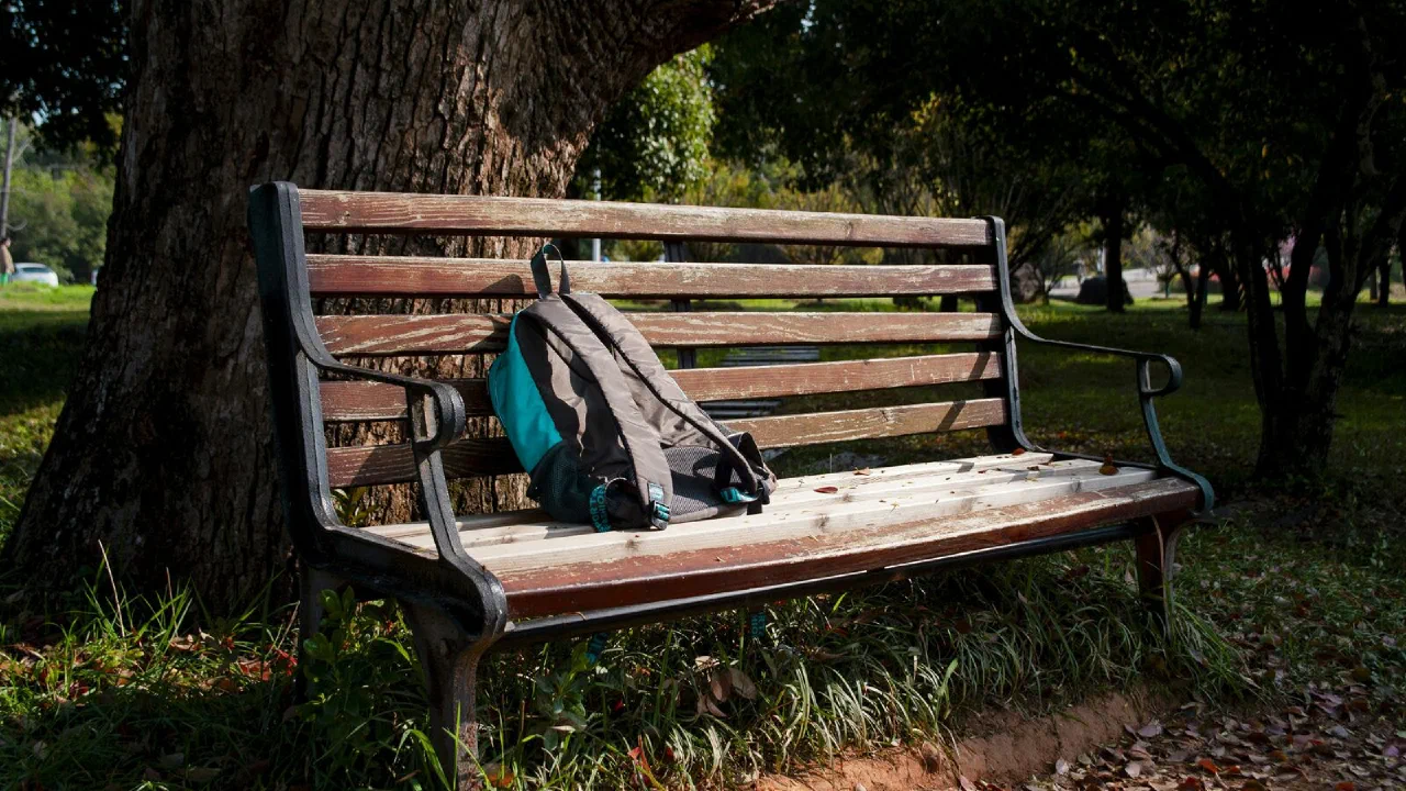 A bag sitting on a sunlit wooden bench