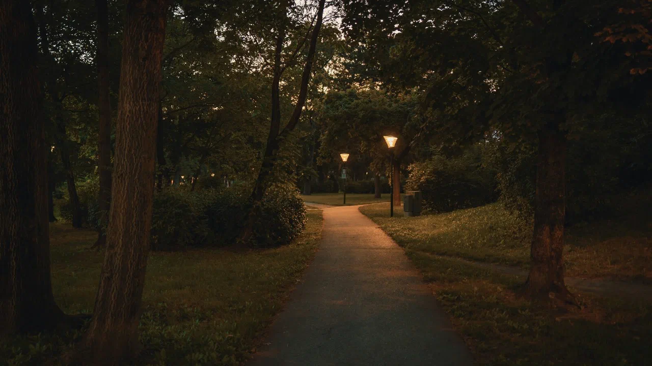 A park path lit by street lamps after dark